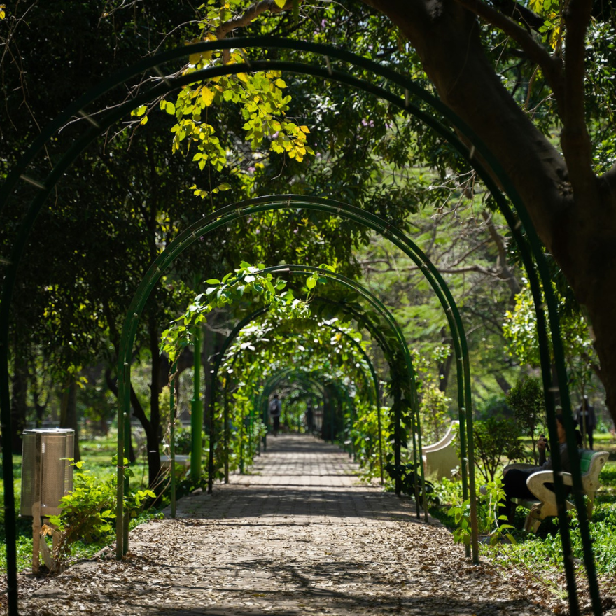 allee romantique jardin